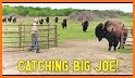 Big Joe GO! related image