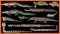Dinosaur Jigsaw Puzzles for kids & toddlers 🦎 related image