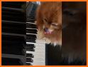 Cute Puppy White Keyboard Background related image