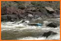 Crossy River - Raft Rush related image
