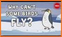 Birds Can't Fly related image