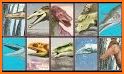 Dinosaurs Puzzle related image