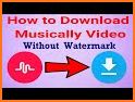 Video Downloader For Musically related image