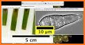 Scale Image View Demo related image