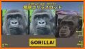 GORILLA SLOT INFINITY related image