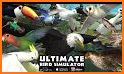 Pigeon Simulator : Bird Games related image