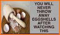 Eggshell knight watch related image