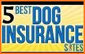 Embrace Pet Insurance related image