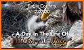 Eagle Country 99.3 related image