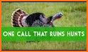 Turkey Hunting Calls related image