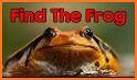 Find the Frog related image