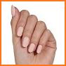 Nail Wardrobe. related image