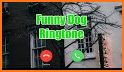 Dog ringtones free, dog sounds related image