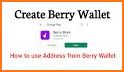 Berry Wallet - Store Crypto related image