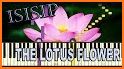 Lotus Flower Keyboard related image