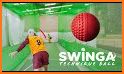 Combo:dodge & cricket ball related image