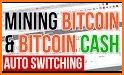 BCH AUTO MINER - FREE BCH related image