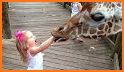 Funny Animals! Zoo for toddler related image