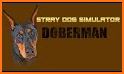 Doberman Dog Simulator related image