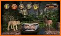 Tiger Simulator Free: Ultimate Tiger Hunting 3D related image