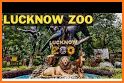 Zoo Lucknow related image