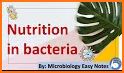Microbe Notes | Microbiology and Biology Notes related image