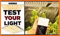 Photone - Grow Light Meter for Plants related image