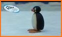 Angry Penguin related image