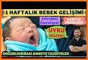 Gün Gün Bebek Bakımı, Gelişimi related image