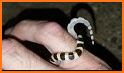 Snake Ring related image