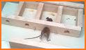 Mouse related image