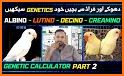 Genetic calculator related image