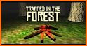 Trapped in the Forest related image