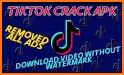 TikLoader - Download no watermark video for TikTok related image
