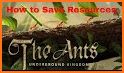 Save the Ants related image