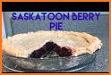 Guide Making Saskatoon berry pie related image