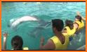 Dolphin Riders related image