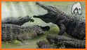 The Crocodile Simulator related image