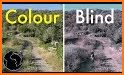 Color Blind related image