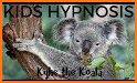 Koala: Sleep and Mindfulness related image