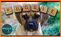 Word Cheat for Board Games - Scrabble|Wordfeud|WWF related image