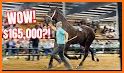 Horse Auctions USA related image