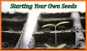 Seeds - Planting (Guide) related image