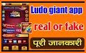 Ludo Gaint related image