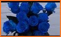 Blue Roses Keyboard Background related image