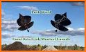 Kite Flying Basant Festival - India Pak Challenge related image