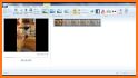 Video Rotate - Rotate Video Editor related image