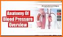 Blood Pressure Overview related image