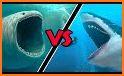 Shark Battle related image