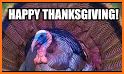 Thanksgiving Cards Wishes GIFs related image